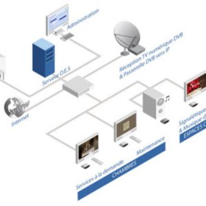 Les acteurs clés pour animer et gérer une solution IPTV d'entreprise : Qui  sont-ils et comment les mobiliser ? - Canal Câble